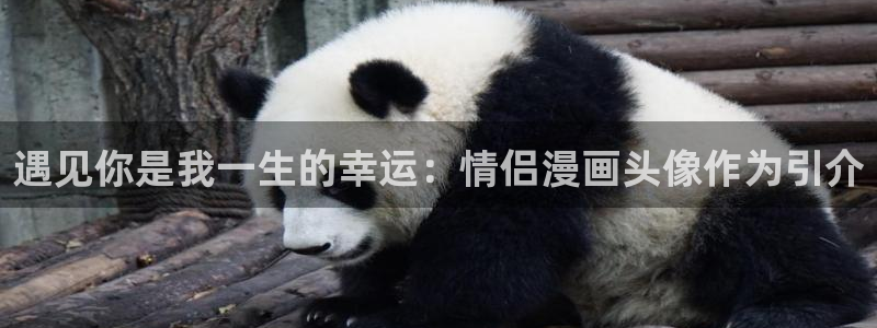 拷贝漫画是哪里的：遇见你是我一生的幸运：情侣漫画头像作为引介