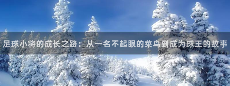拷贝漫画官网下载：足球小将的成长之路：从一名不起眼的菜鸟到成为球王的故事