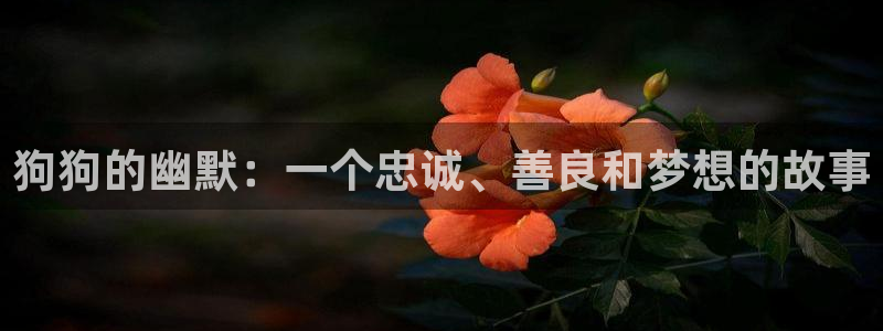 copy漫画下载：狗狗的幽默：一个忠诚、善良和梦想的故事