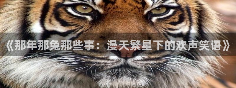 拷贝漫画漫画源：《那年那兔那些事：漫天繁星下的欢声笑语》